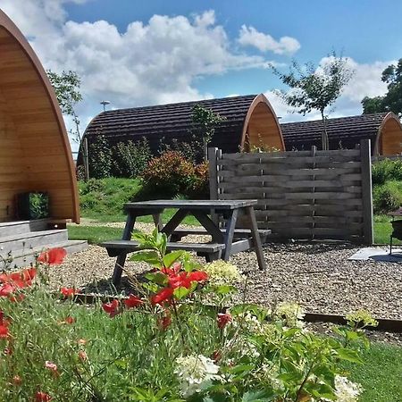 Buttercup Glamping Pod Hotell Cheltenham Eksteriør bilde